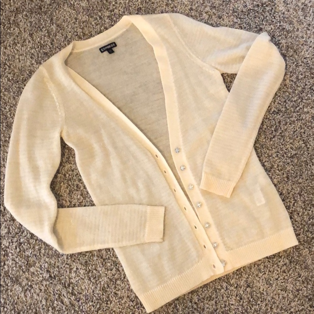 Express Shimmery Cardigan